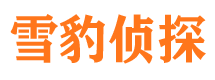 张湾市侦探公司